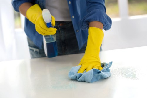 Enzymatic cleaning treatment for pet stains in Keston home