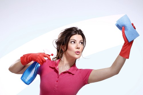 Cleaning team handling a service visit