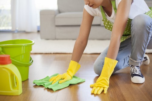 Professional pet stain and odour treatment on carpet in Keston